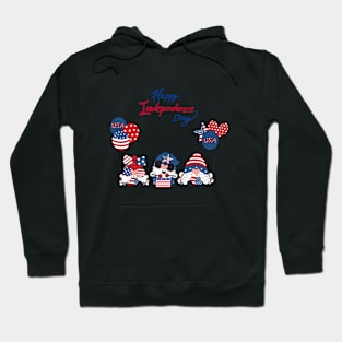 Happy Idependence Day Hoodie